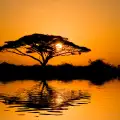 Amboseli National Park