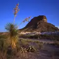 Big Bend National Park