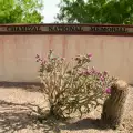 Chamizal National Memorial