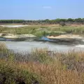 Donana National Park