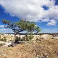 El Morro National Monument