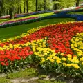 Keukenhof Gardens