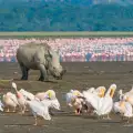 Lake Nakuru National Park