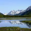 Marsh Lake