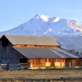 Mount Shasta