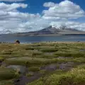 Lauca National Park