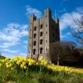 Penrhyn Castle