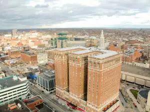 Buffalo