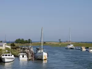 Chesapeake Bay
