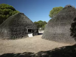 Donana Park, Spain