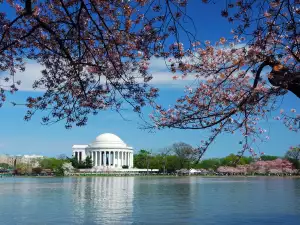Jefferson Memorial in Washington