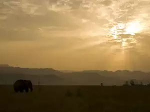 Corbett National Park