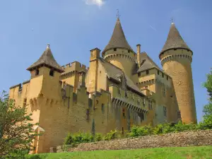 Chateu de Puymartin