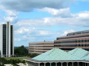 Raleigh City