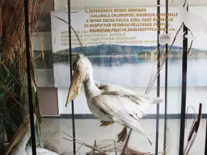 Museum in Srebarna Reserve