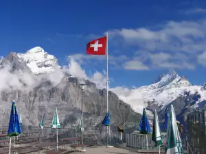Peaks from Grindelwald