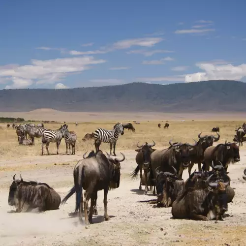 Serengeti National Park