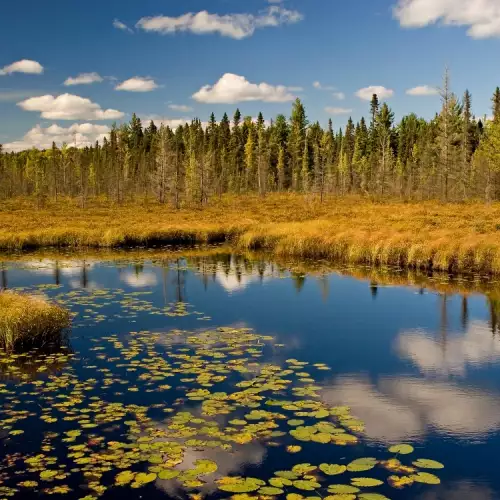 Algonquin Natural Park