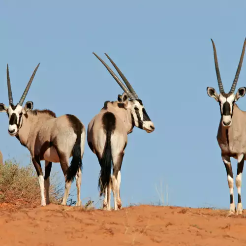 Matobo National Park