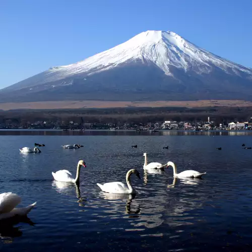 Mount Fuji