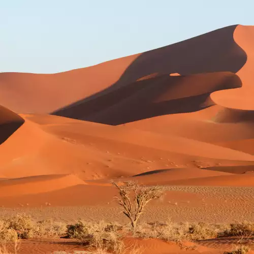 Namibian Desert