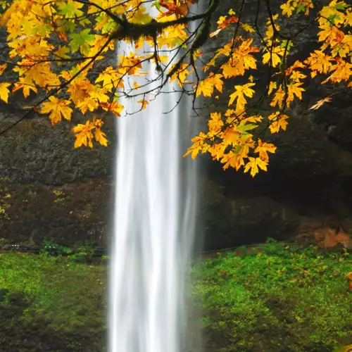 Silver Falls