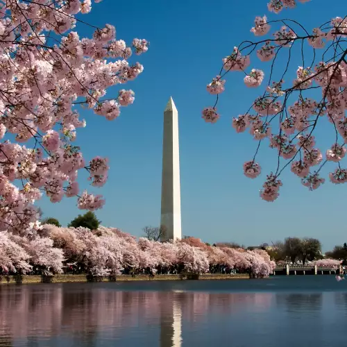 Washington Monument