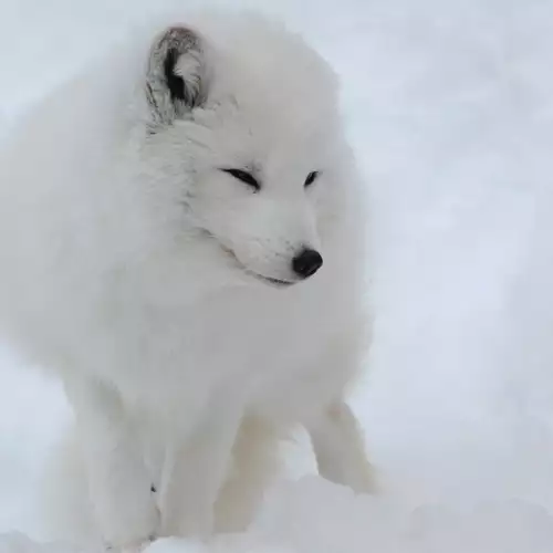 Shiretoko National Park