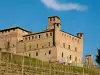 Grinzane Castle