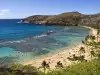 Hanauma Bay