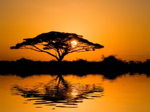 Amboseli National Park
