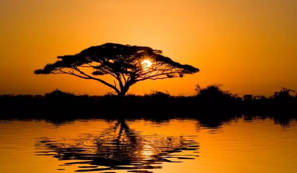 Amboseli National Park