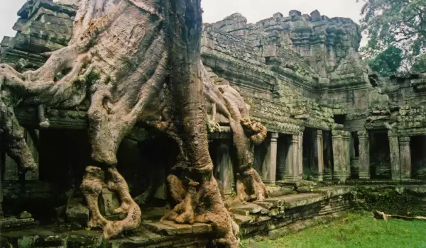 Khmer Ruins in Angkor