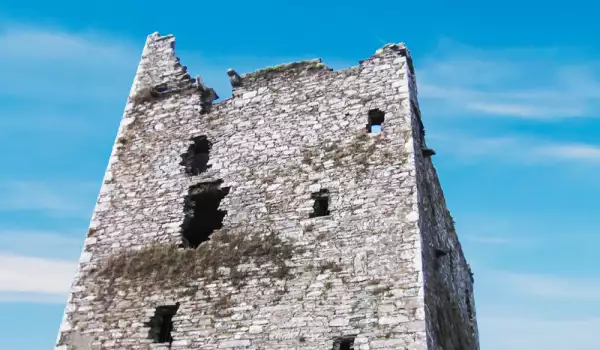 Ballinacarriga Castle