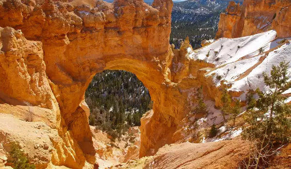 National Park Bryce Canyon