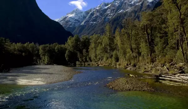 Clinton River, Fiordland National Park