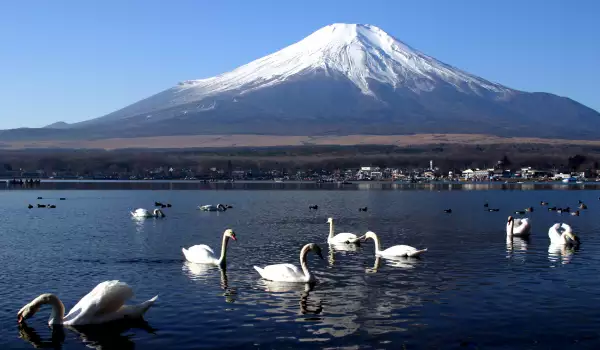 Mount Fuji