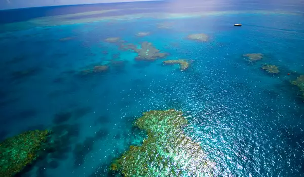 Great Barrier Reef