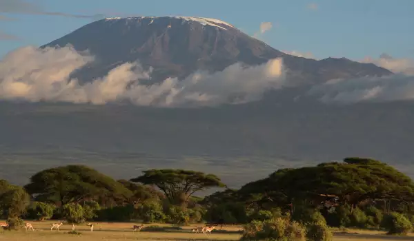 Mount Kilimandjaro