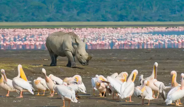 Lake Nakuru National Park