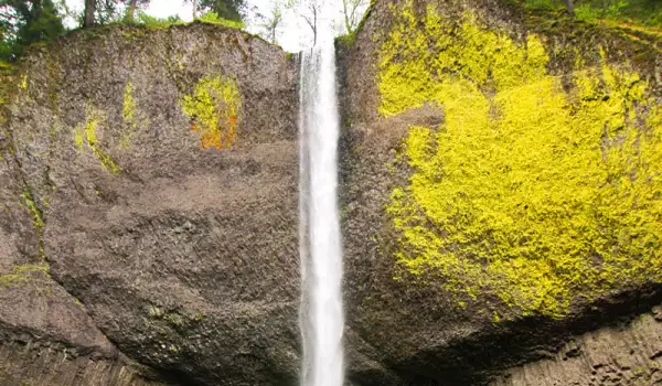 Latourell Falls, Oregon