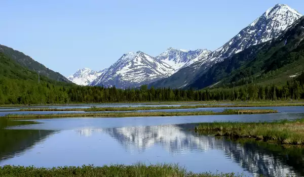 Marsh Lake