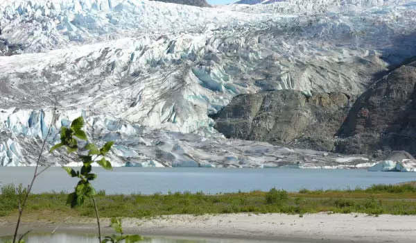 Mendenhall Glacier