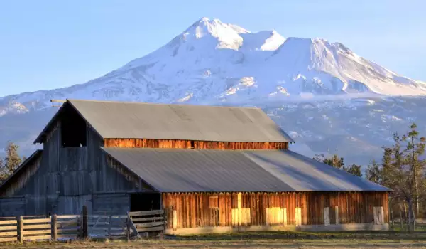 Mount Shasta