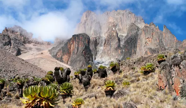 Mount Kenya