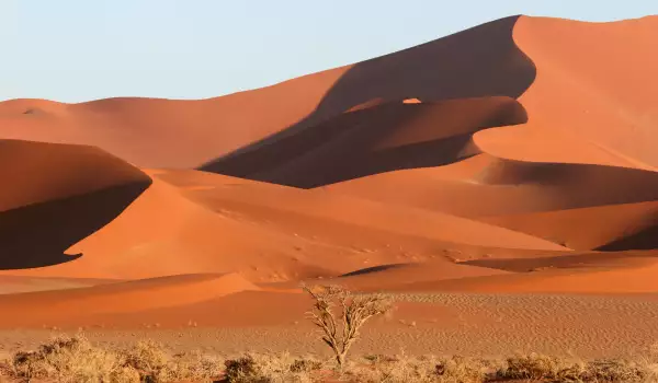 Namibian Desert