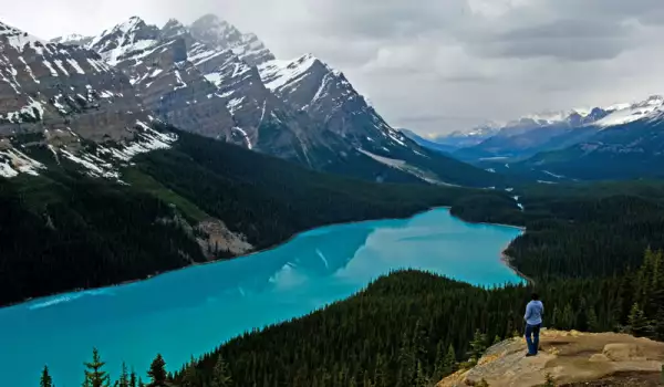 Peyto Lake