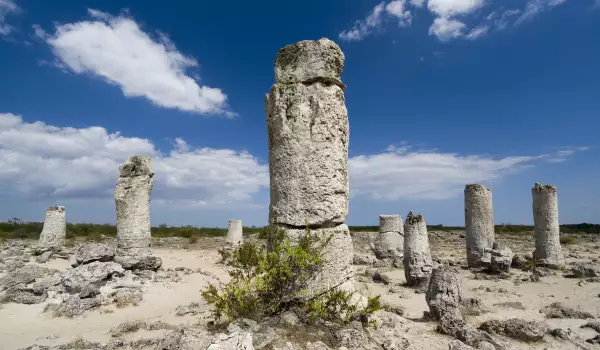 Stone Forest near Varna