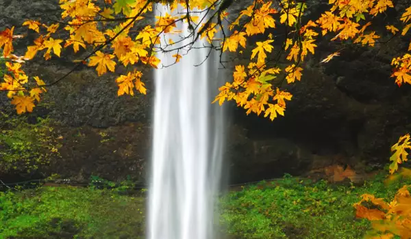 Silver Falls, Oregon