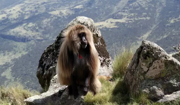 Mount Elgon National Park